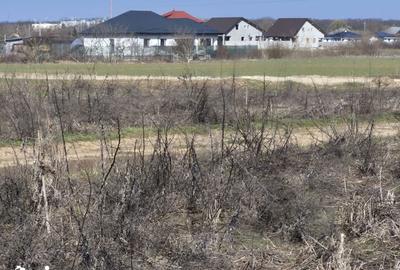 Teren de 1000 mp, în Balotești