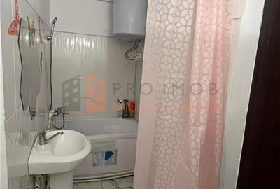 Camera de camin cartier Posta - 7