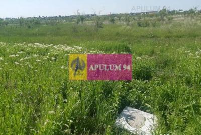 Teren de 29000 mp, în Pantelimon