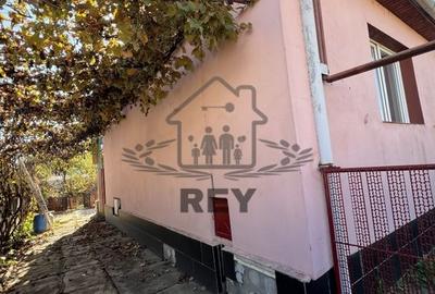 Casă tip Duplex 3 camere cu teren 468 mp zona Străzii Record/Terezian - 2