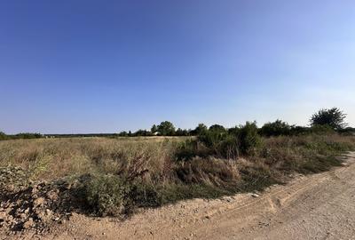 Teren Tancabesti intravilan iesire la lac Snagov Teren Tancabesti intravilan iesire la lac Snagov - 8