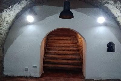 Spațiu comercial, de 45 mp, în Gară - 6