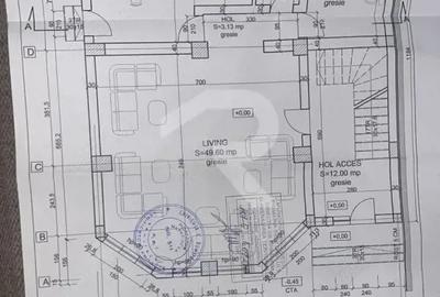 Vila individuala , B-dul Pieptanari, acceptam si cazre muncitori ! - 12