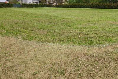 Spațiu comercial, în Miroslava - 8