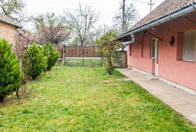 Casă cu 3 camere cu Teren 2509 Mp în Mișca - 12