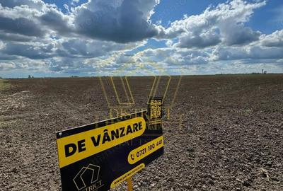 Teren extravilan - constructii industriale 5ha | Sag | Frigoglass - 4