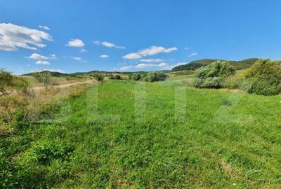 Teren intravilan, 31 de ari in Livezile - 2