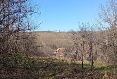 Casă cu 2 camere cu Teren 1439 Mp în Brădișoru de Jos - 8