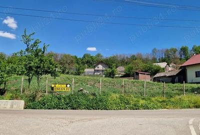 Teren de 3000 mp, în Lămășeni - 4