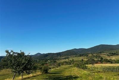 Reco Casa cu teren in Budureasa, langa Stana de Vale - 8