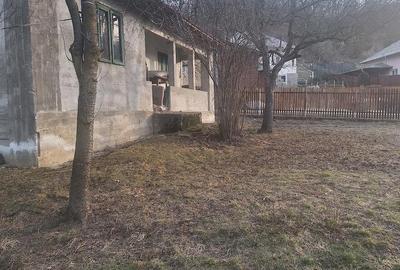 Casă cu Teren 900 Mp în Aluniș - 4