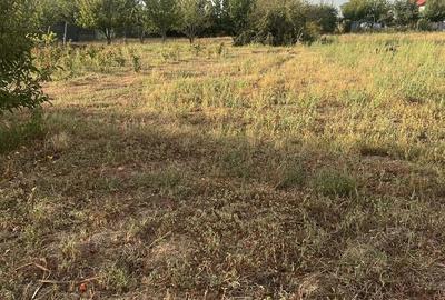 Teren de 10000 mp, în Sârbi - 3