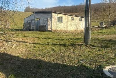 Teren de 2000 mp, în Mociu - 4