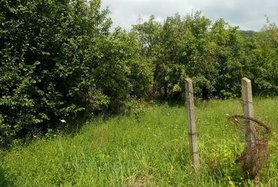 Casă cu 2 camere cu Teren 3198 Mp în Aninoasa - 12
