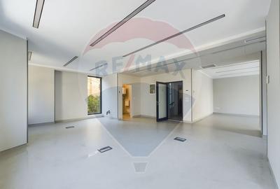 Proprietate specială, de 1,307 mp, în Decebal - 12