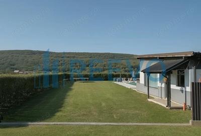 Proprietate pentru investi?ie cu Piscina in Hemeiu? - 2