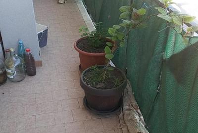 Apartament cu 2 camere decomandat în Nojorid - 2