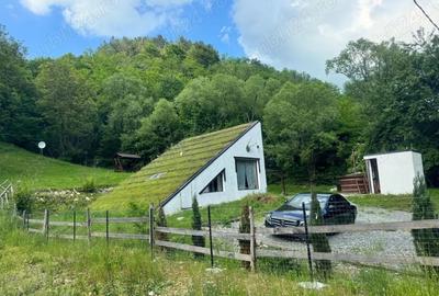 Vand casa la munte in Baisoara -Cluj - 4
