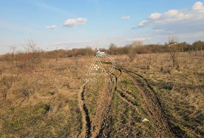 Teren Construcții intravilan de 475 mp, în Narciselor - 6