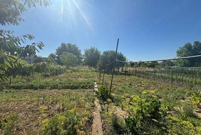 Sancraiu de Mures - Vanzare casa 3 camere - Str. Delureni - 2