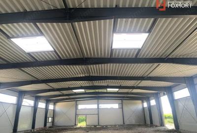 Hala de inchiriat cu platforma betonata de 1334 mp, zona Sanandrei - 2