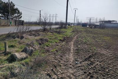 Teren de 5000 mp, în Frumușani - 14