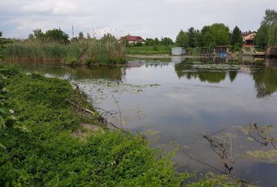 Teren agricol extravilan de 19996 mp, în Snagov - 2