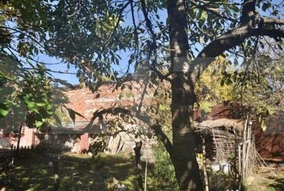 Casă cu 2 camere cu Teren 550 Mp în Fratelia - 3