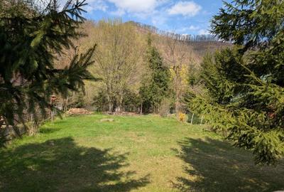 Spațiu comercial, în Someșu Rece - 8