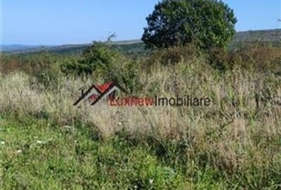 Reducere de pret! 800 mp teren intravilan la 10 km Auchan Iris, sat Padureni-Chi - 6