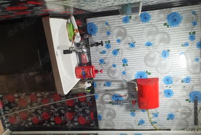 Casă cu 4 camere cu Teren 400 Mp în Pănătău - 5