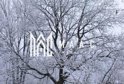 Teren Construcții intravilan de 20000 mp, în Dângești - 32