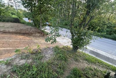 Teren de 600 mp, în Bârnova - 2