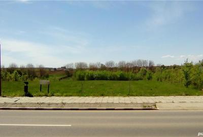 Spațiu comercial, în Snagov - 5