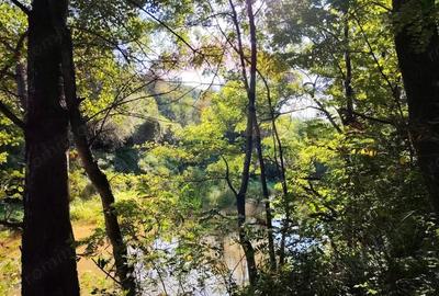 Exclusivitate! Casa cu anexe si teren generos, langa Jibou-Comision 0% - 1