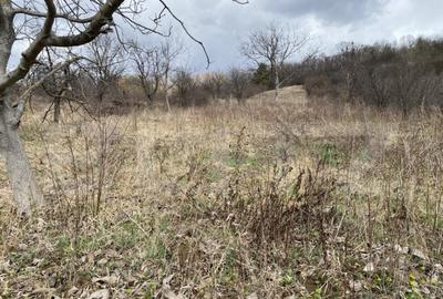 Teren de 2000 mp, în Central - 6