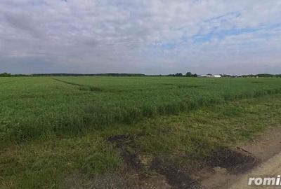 Teren de 25000 mp, în Moara Vlăsiei
