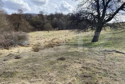 Teren de 7500 mp, în Central - 3