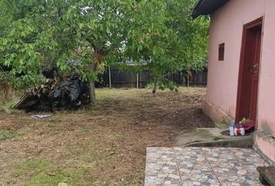 Casa de vanzare la tara - 7