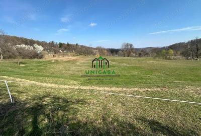 Teren de 8131 mp, în Băile Govora - 4