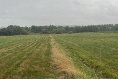 Parcele de vanzare ,Zona Versailles ,500 mp - 3