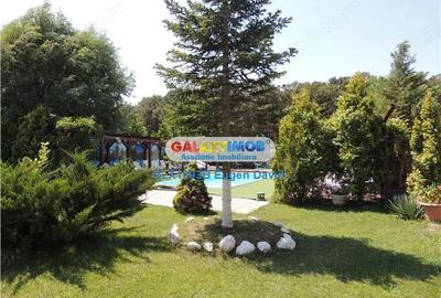 Spațiu comercial, de 4,000 mp, în Snagov - 3