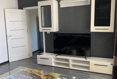 Apartament cu 2 camere decomandat în Giarmata - 11