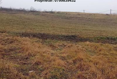 Spațiu comercial, în Proselnici - 2