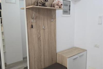 Apartament cu 2 camere semidecomandat, mobilat în Herăstrău - 7