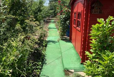 Casa vacanza Iepuresti(Giurgiu) - 4