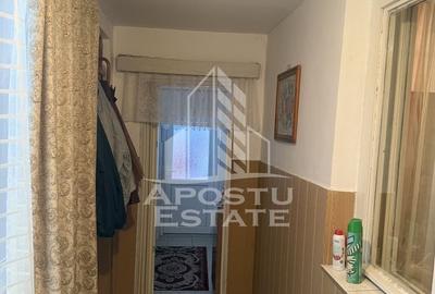 Casa individuala cu teren mare in Remetea Mare - 6