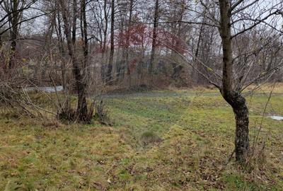 Teren 2,932mp Sarbi (Budesti) / Drumul Principal - 6