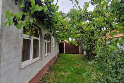 De vânzare casă familială în Dacia - 5