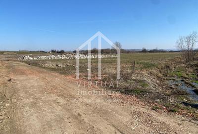Teren agricol intravilan de 16310 mp, în Rusciori - 5
